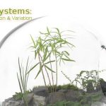 Cytogenetic approaches link biosystems to ecosystems